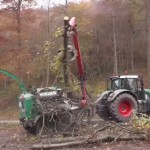 Sperrung L 600 Leimen zwecks Baumfällarbeiten