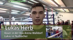 Box Arena Walldorf – internationale Veranstaltung – 2. BW Cup – Box Meisterschaften