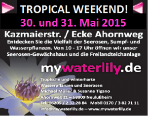 30 - 31 mai mywaterlily