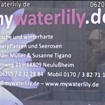 my waterlily Tag der offenen Tür bei der Wasserpflanzen Spezialgärtnerei in Neulußheim