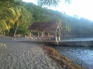 Villa "Art & Nature" - Kleine Antillen - La Martinique