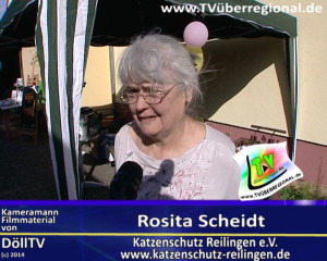 Katzenschutzverein Reilingen sucht NACHFOLGER und Helfer