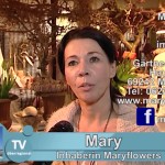 Frühlingszauber aus der Kräuterküche - Marys Erlebnisgärtnerei in Mühlhausen - Kraichgau - Hauptstrasse 2, maryflowers, gärtnerei wagner, kraichgau regional, tvüberregional, mary,