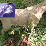 Franzbogen GmbH - St Leon Rot - 3 D Tiere - Bogenschützen Bedarf