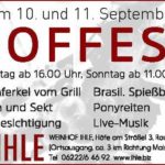 Großes Hoffest mit LIVEMUSIK – PONYREITEN – WEINPROBIERSTAND – GRILL – BESENKÜCHE bei WEINGUT IHLE Rauenberg 10.09 und 11.09.2016