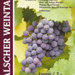 Malsch – Kraichgau – Weinprobe in der Zehntscheuer – 13.11.2016 14 bis 18 Uhr