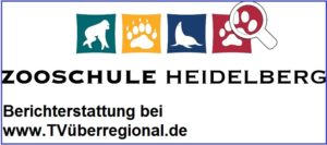 HEIDELBERG - Die Heidelberger Zooschule sorgt für frischen Wind im Unterricht #Zoo #heidelberg #zooschule #heidelberg_regional #heidelberg_lokal