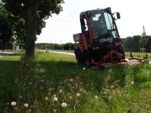 Öffentliche Anlagen brauchen im Sommer besondere Pflege