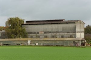 Reilingen, Diese landwirtschaftlichen Nebengebäude auf dem Herrenbuckel sollen durch den Neubau einer Reithalle ersetzt werden P1040808