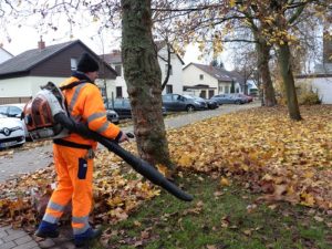 Reilingen, Um dem herbstlichen Blattfall Herr zu werden, setzt der Bauhof auch auf dem Schulgelände den Laubbläser ein P1020766