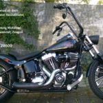 Neulußheim Akazienweg Motorrad Harley Davidson entwendet; Zeugen gesucht
