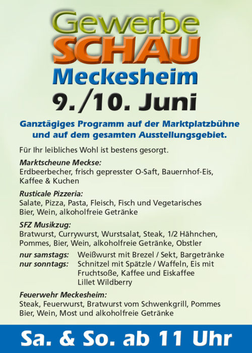Gewerbeschau Meckesheim, SFZ Marktplatzfest, TVüberregional, Onlinezeitung, Videoproduktion, Meckesheim, Oliver Döll,