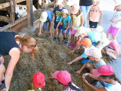 Hockenheim, Bauernhofbesuch, Abschlussfest, 2018-07-27, Verwaltung Südstadtkindergarten