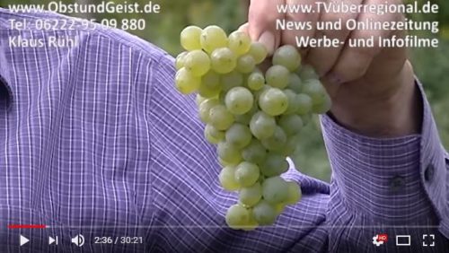 Obst und Geist Mühlhausen, Klaus Rühl, Winzer Kraichgau