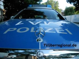 Reilingen - Wildunfall - Pkw-Fahrer erfasst Reh