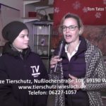 Filmbericht über das Tom Tatze Tierheim, Walldorf, mit dem wunderschönen Adventsmarkt