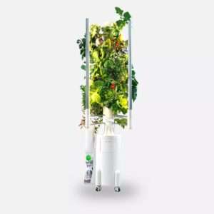 GreenyGarden Master gesünder essen und reines hexagonales Wasser direkt aus dem Tower trinken.