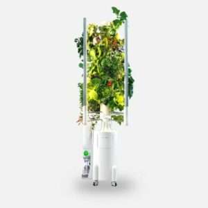pflanztower greenygarden mit integriertem greenywater fuer frisches trinkfertiges trinkwasser erhaeltlich bei carmen doell
