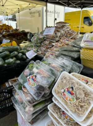 Thai Food Festival, Mini Lippert