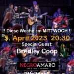 Heute MITTWOCH LIVE Harrys Band im NegroAmaro – EINTRITT FREI – Walldorf neben Session Music