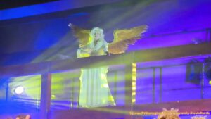 Die STILLE NACHT wacky-showkultur