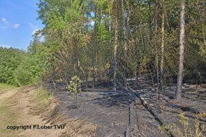 Waldbrand bei Roth