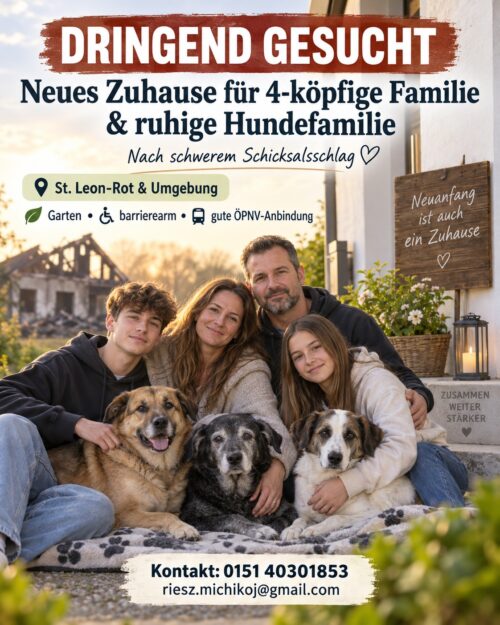 Neues Zuhause für 4-köpfige Familie und ruhige Hundefamilie nach schwerem Schicksalsschlag. KI-generiertes Beispielfoto, da kein Foto mehr durch den Hausbrand vorhanden ist. Neues Zuhause für 4-köpfige Familie und ruhige Hundefamilie nach schwerem Schicksalsschlag