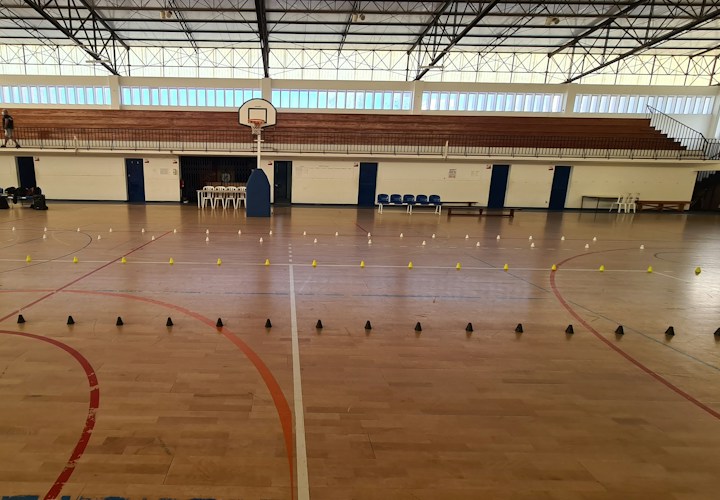 Leere Sporthalle mit Hallenboden und Basketballkorb, Symbolbild, nicht die Wieslocher Sporthalle