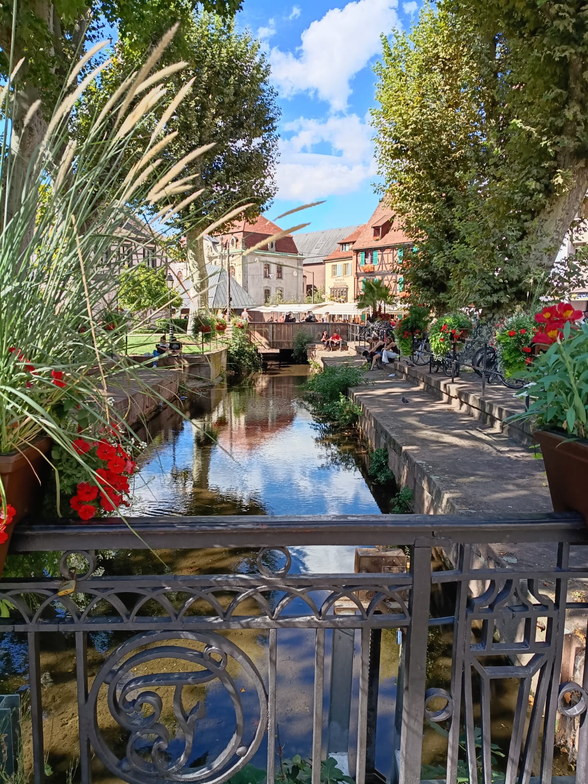Grüner Wasserlauf und alte Häuser, Colmar im Elsass. Foto von Thorsten Krings.