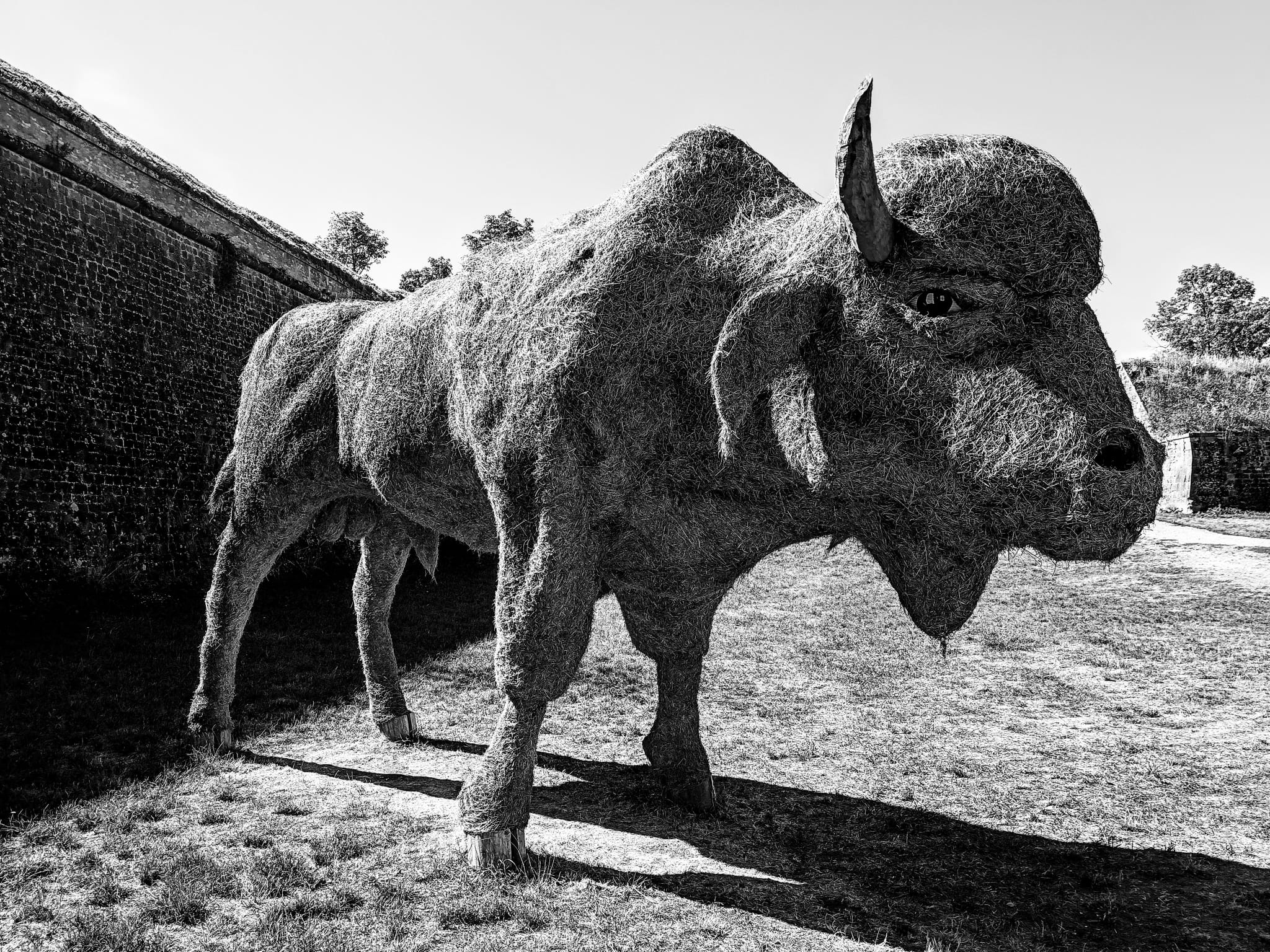 Skulptur eines Wisents in Schwarz-Weiß, Foto Thorsten Krings