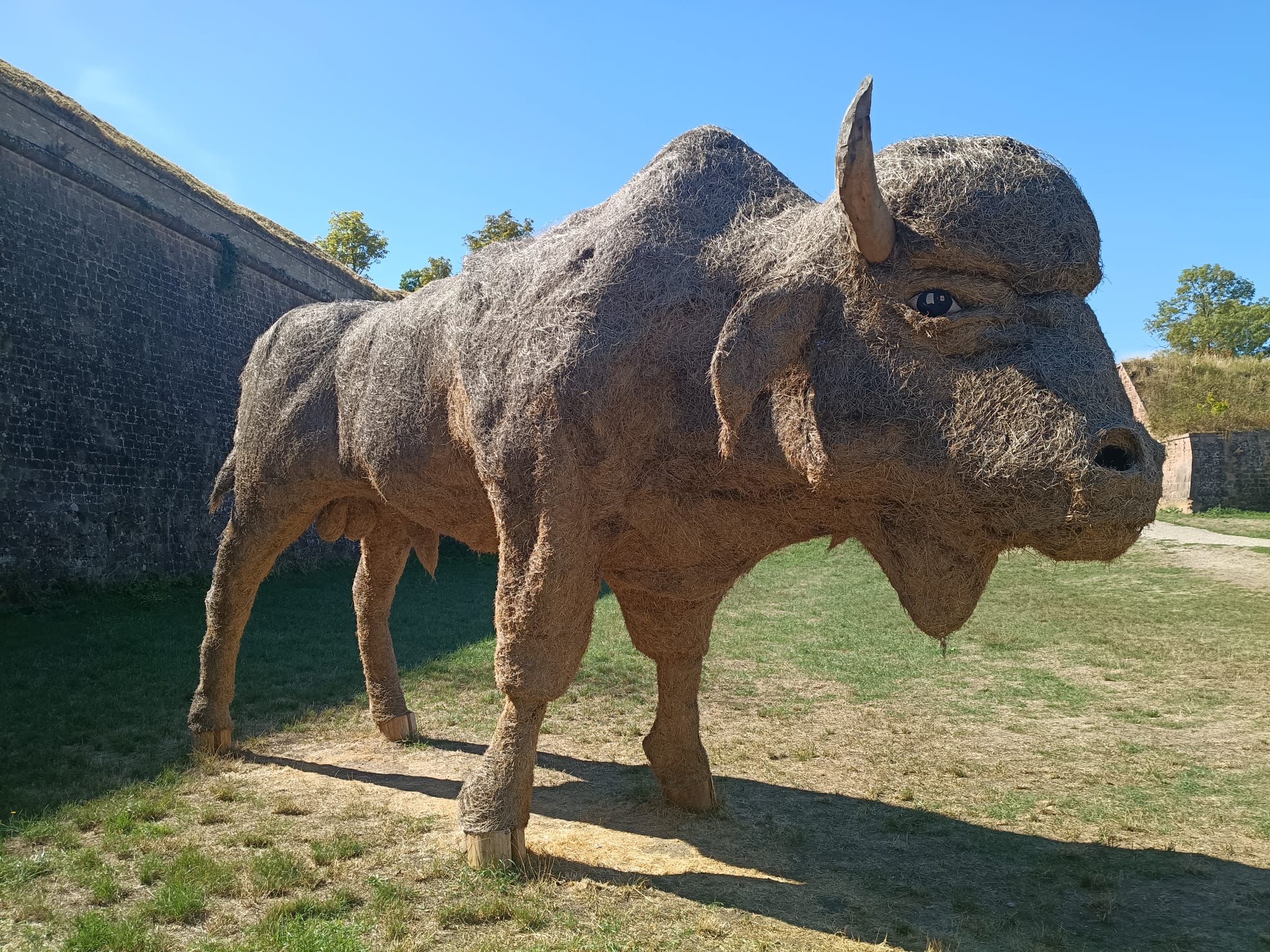 Skulptur eines Wisents vor den Mauern, Foto Thorsten Krings