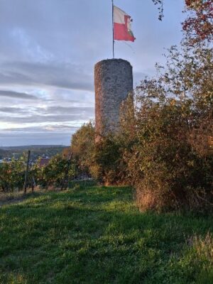 Wartturm bei Besigheim
